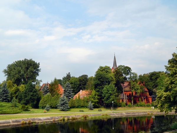 Krzyż
